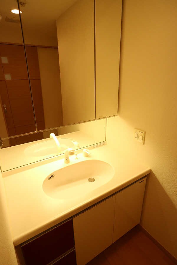 ロイヤルパークス武蔵小杉  その他3