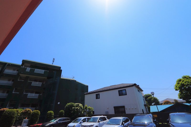 その他7