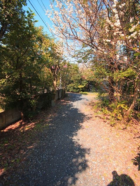その他11