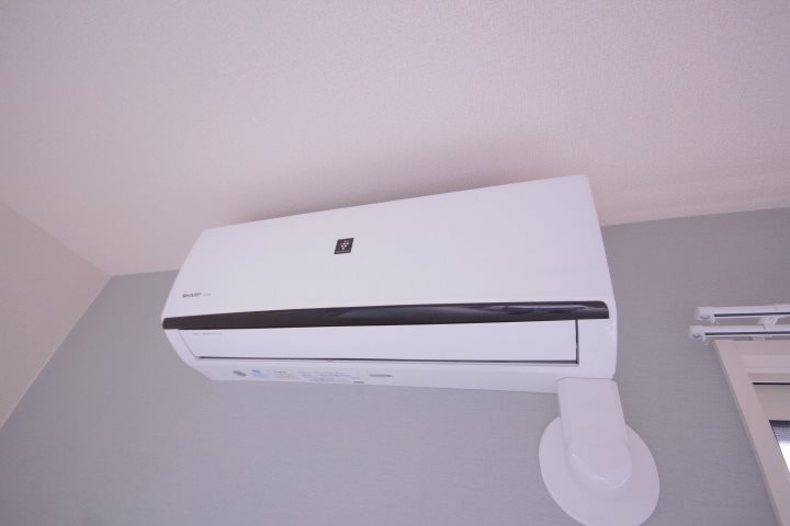 Ｃane rosso その他7