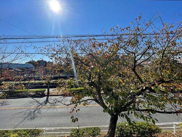 アクア新浦安 その他4