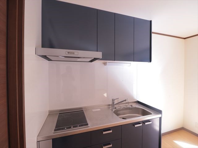 ロシェ　ルミエール　パレ キッチン