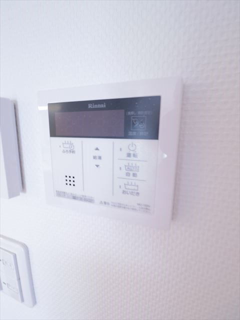 パステル・リオン その他8