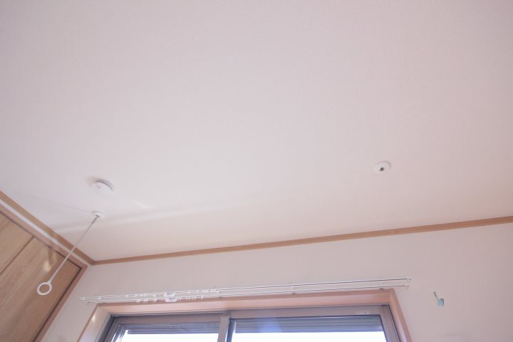 その他11