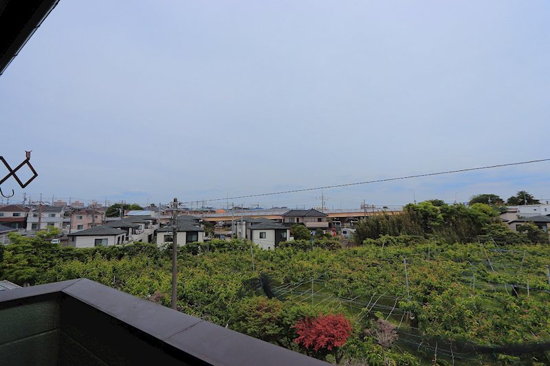 その他6