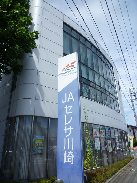 コモド南加瀬  周辺画像2