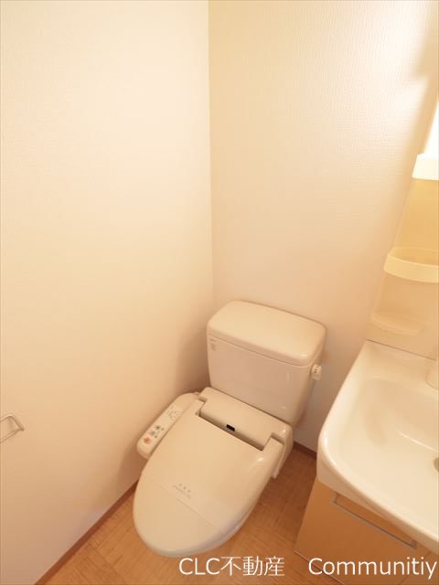 ペルテローザ その他4