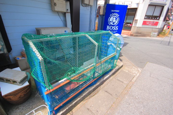 メゾン3006 その他6