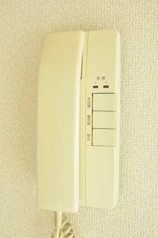 サンネコザネ その他1