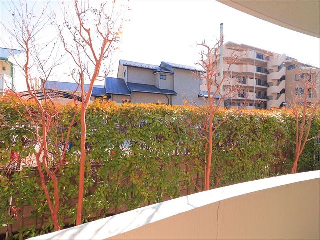 エクセレンテ その他6