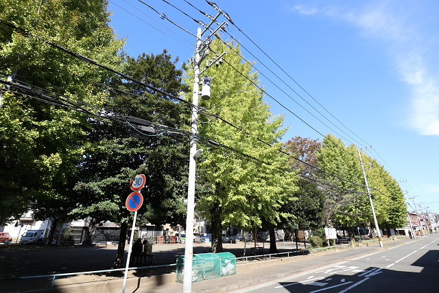 ローズコート東神奈川 周辺画像5