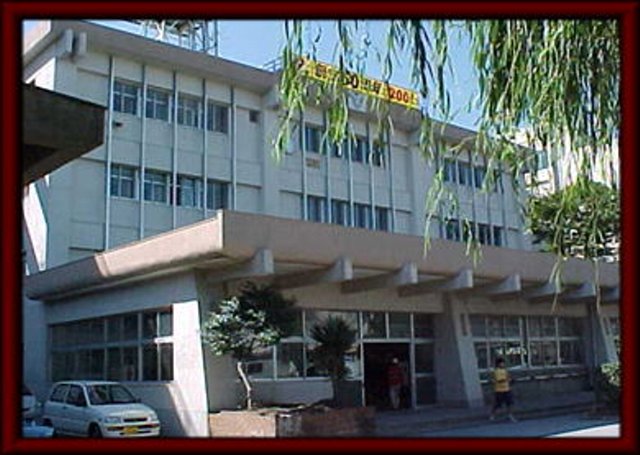 盛大パレス 周辺画像9