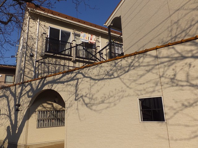 フローラ２ その他11