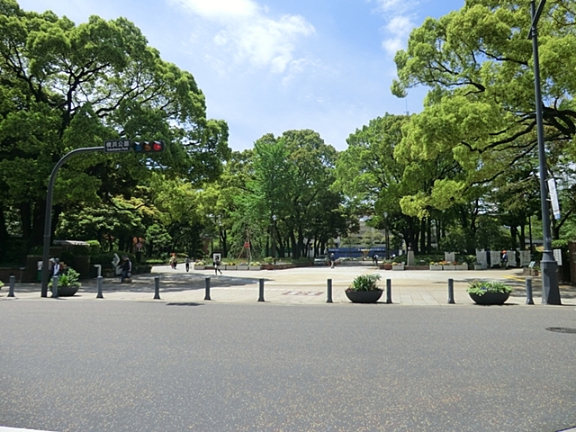 パークフラッツ横濱公園 周辺画像5