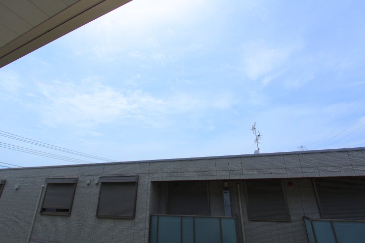 その他7