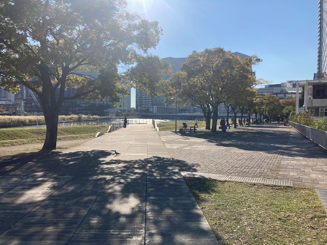 パシフィックロイヤルコートみなとみらいオーシャンタワー 公園