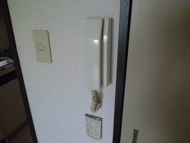 ヴェルドミール その他8