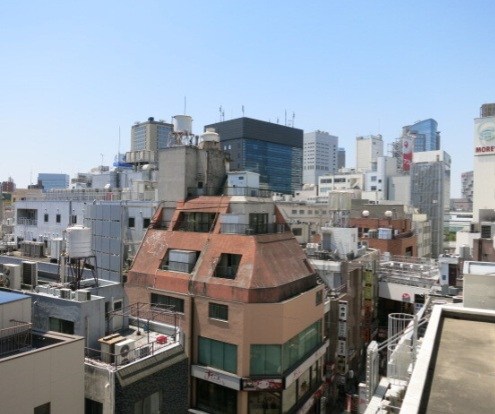 CassiaKawasakiResidence その他4