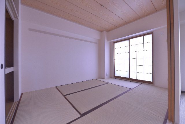 その他11