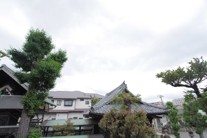 その他7