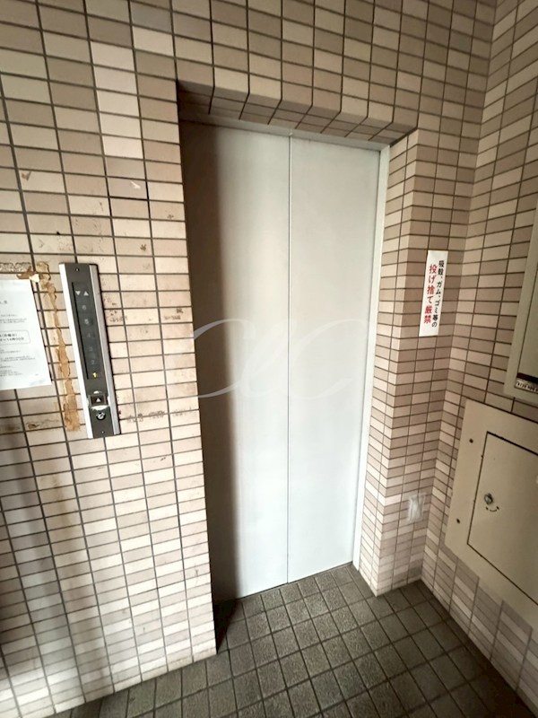 ヴェルドミール  その他7