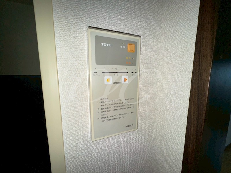 ヴェルドミール  その他9