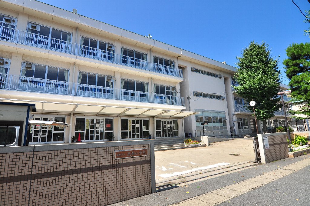Olive 小学校