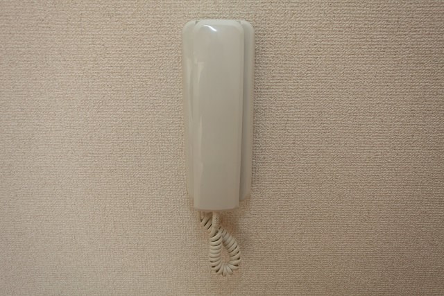 グリーンハウス その他3