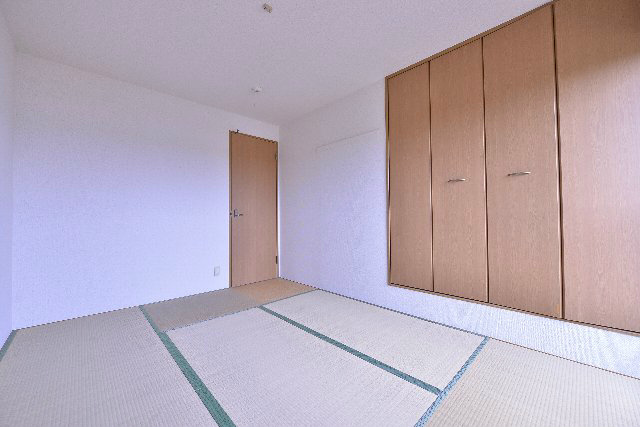 その他11