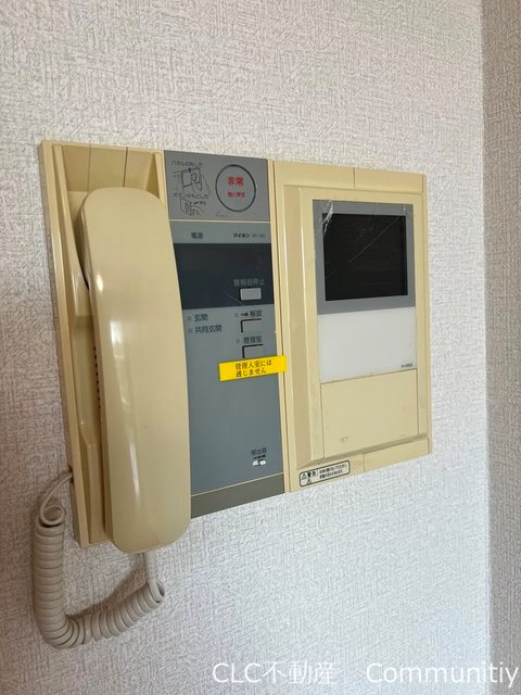 エバーグリーン その他3