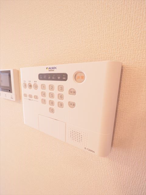Sea Shinurayasu その他4