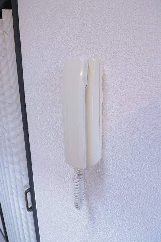 カーソルサヴァリンナ その他2