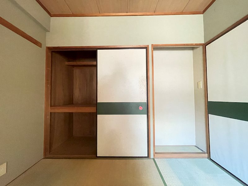 カーソルサヴァリンナ その他3
