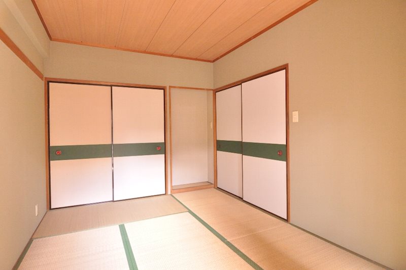 カーソルサヴァリンナ その他5
