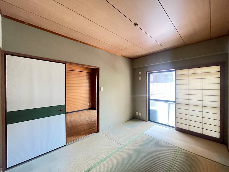 カーソルサヴァリンナ その他6