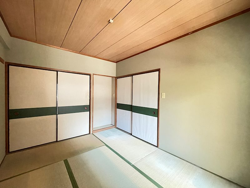 カーソルサヴァリンナ その他10