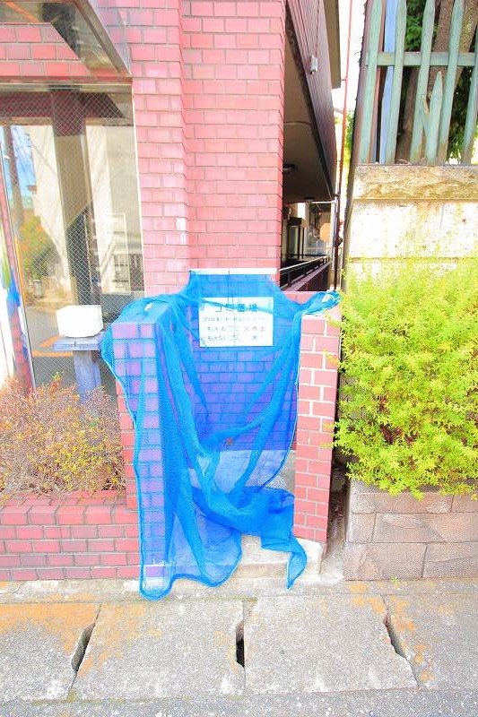 カーソルサヴァリンナ その他12