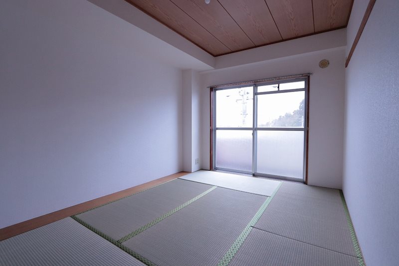 その他12