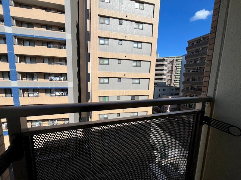 その他11