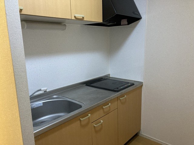 FLANC　PALAGE キッチン