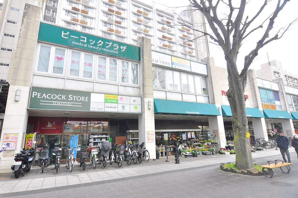 KENZO　HAUS　yokodai 周辺画像1