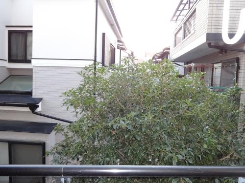 エスティーア洋光台 ベランダ