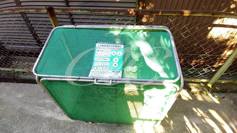 エストレーヤ横浜杉田 その他11