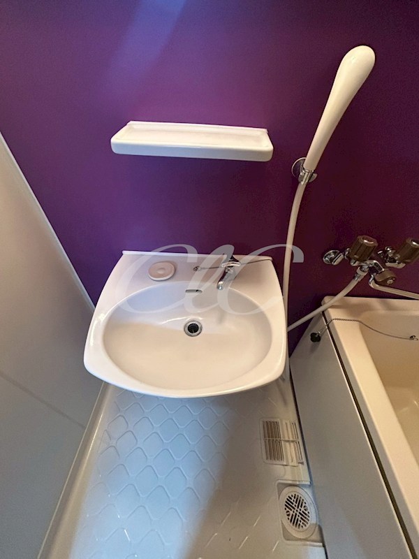 オルキス その他3