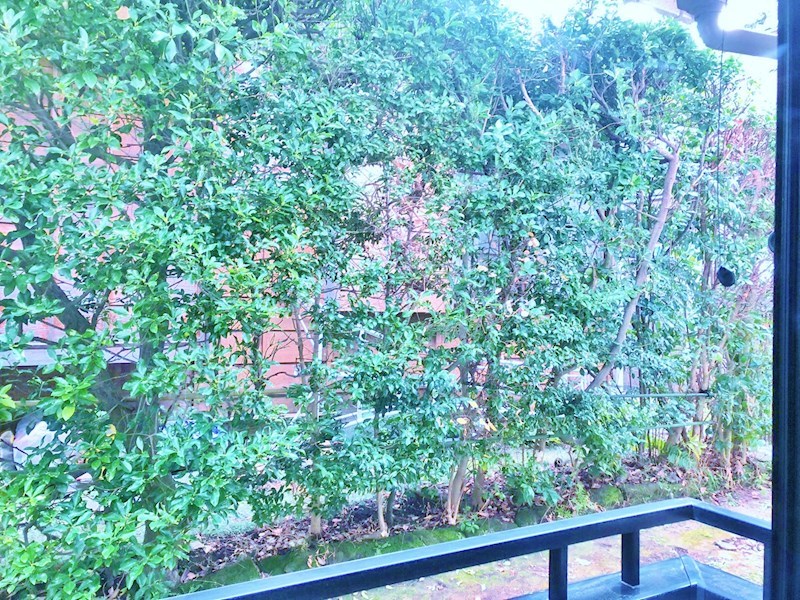 スロジェ瀬戸 その他7