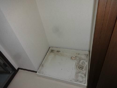 ネオマイム磯子 その他5