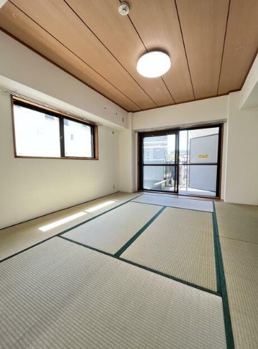 その他7