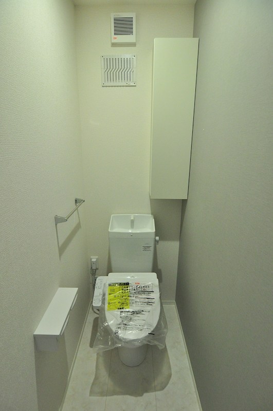 D Paina Hino その他4