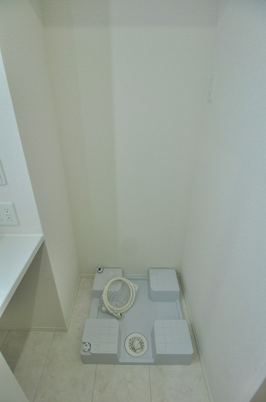 D Paina Hino その他5