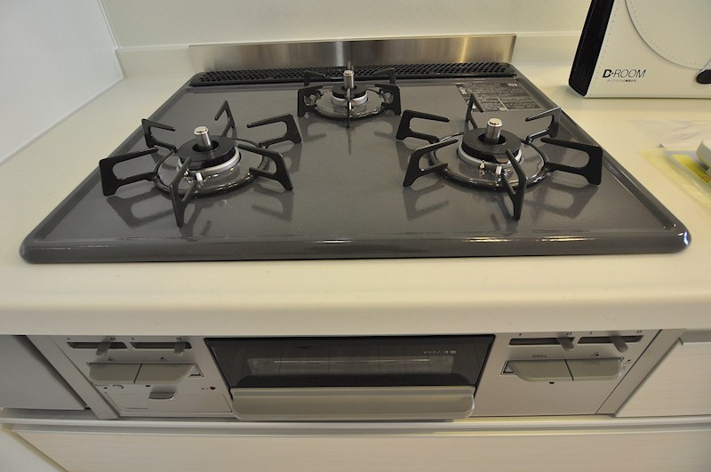 D Paina Hino その他7